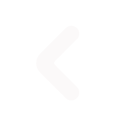 prev-icon